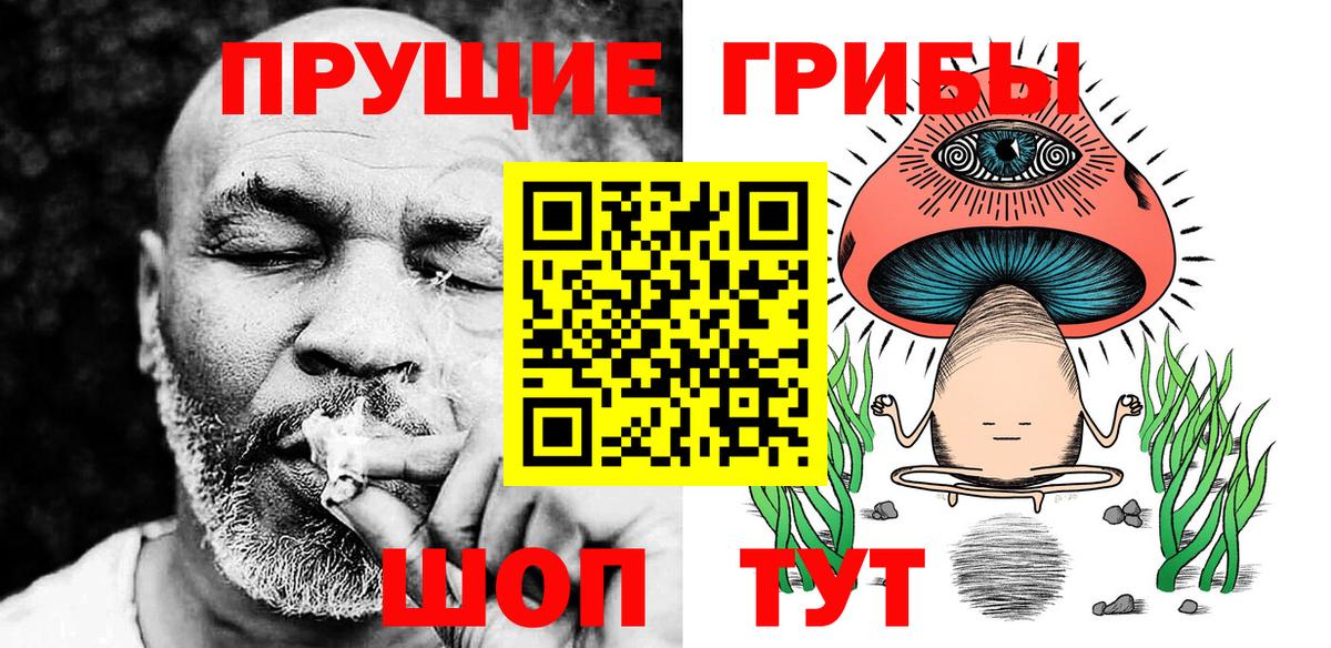 Галлюциногенные грибы GOLDEN TEACHER  Псилоцибиновые грибы GOLDEN TEACHER  Пятигорск  Вход с VPN 