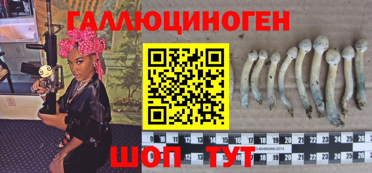 Галлюциногенные грибы мухоморы Пятигорск
